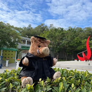 30周年纪念版野猪玩偶