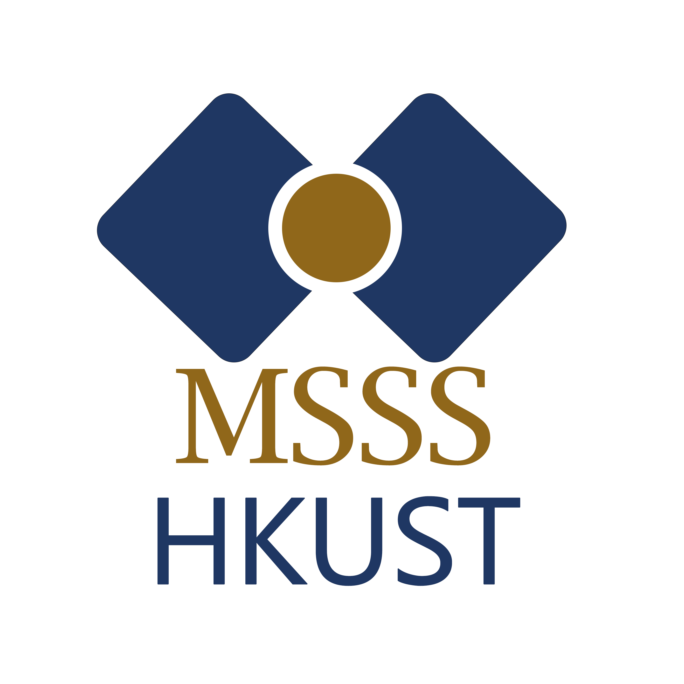 6.1 MSSS介绍