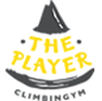 岩馆 - The Player ClimbingGYM